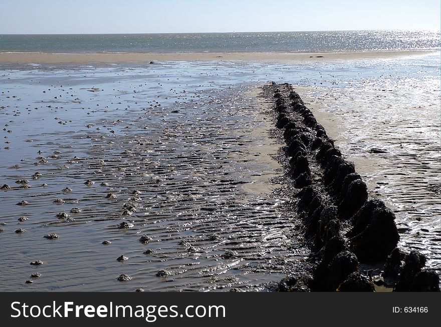 Low tide in the north sea