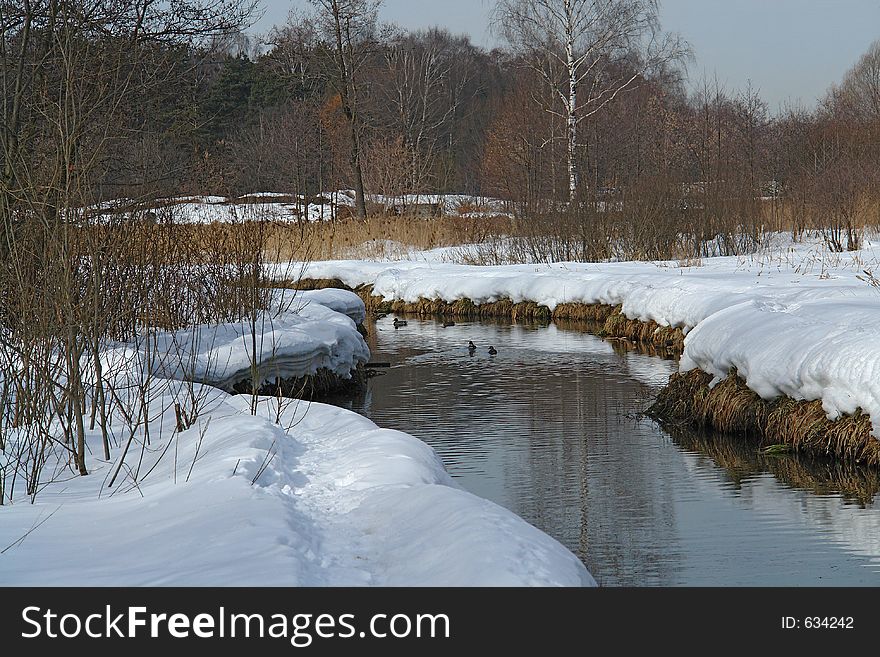 The photo is made in the city of Moscow (Russia) in wood park Kuzminki.. Original date/time: 2006:03:28 10:20:05. The photo is made in the city of Moscow (Russia) in wood park Kuzminki.. Original date/time: 2006:03:28 10:20:05.