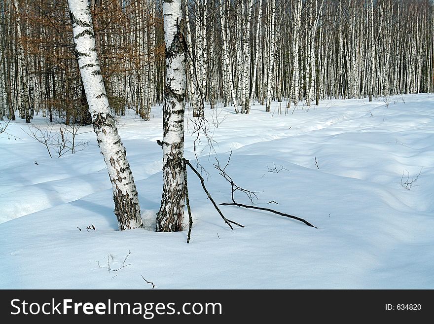 The photo is made in the city of Moscow (Russia) in wood park Kuzminki. First attributes of spring. Original date/time: 2006:03:28 11:12:21. The photo is made in the city of Moscow (Russia) in wood park Kuzminki. First attributes of spring. Original date/time: 2006:03:28 11:12:21.