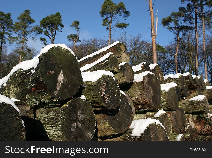 A log pile sits in a forest, with blue sky and snow. A log pile sits in a forest, with blue sky and snow