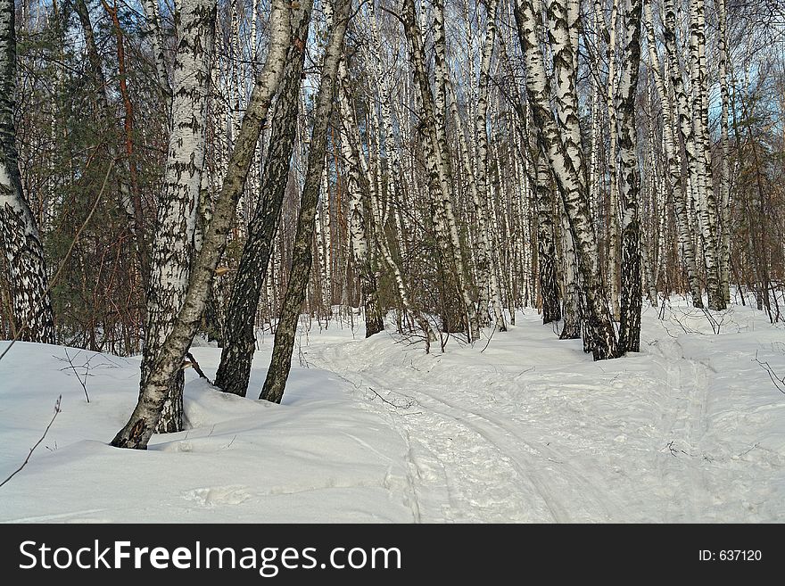 The photo is made in the city of Moscow (Russia) in wood park Kuzminki. First attributes of spring. Original date/time: 2006:03:28 11:38:01. The photo is made in the city of Moscow (Russia) in wood park Kuzminki. First attributes of spring. Original date/time: 2006:03:28 11:38:01.