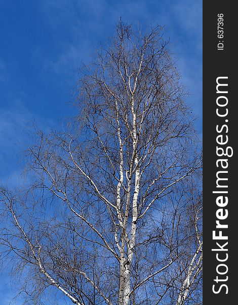 The photo is made in the city of Moscow (Russia) in wood park Kuzminki. First attributes of spring. Original date/time: 2006:03:28 11:48:42. The photo is made in the city of Moscow (Russia) in wood park Kuzminki. First attributes of spring. Original date/time: 2006:03:28 11:48:42.