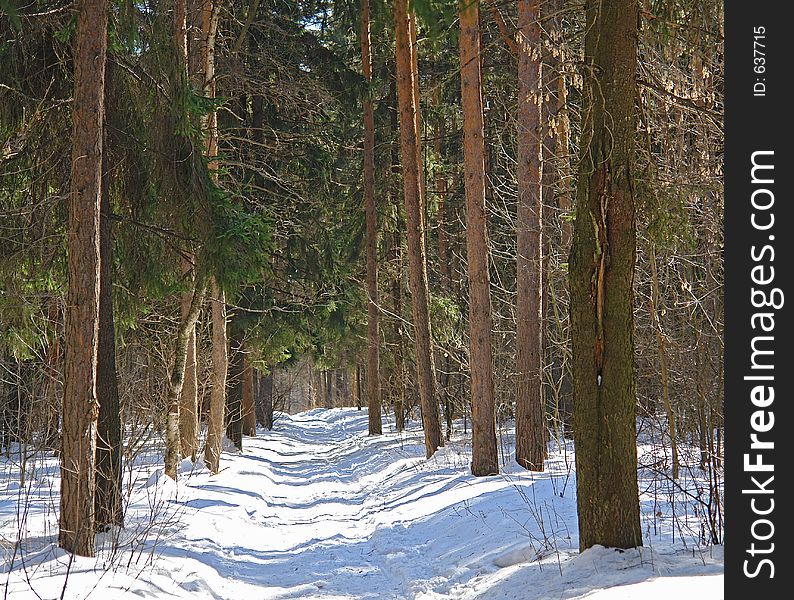 The photo is made in the city of Moscow (Russia) in wood park Kuzminki. First attributes of spring. Original date/time: 2006:03:28 12:18:25. The photo is made in the city of Moscow (Russia) in wood park Kuzminki. First attributes of spring. Original date/time: 2006:03:28 12:18:25.