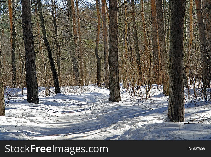 The photo is made in the city of Moscow (Russia) in wood park Kuzminki. First attributes of spring. Original date/time: 2006:03:28 12:27:22. The photo is made in the city of Moscow (Russia) in wood park Kuzminki. First attributes of spring. Original date/time: 2006:03:28 12:27:22.