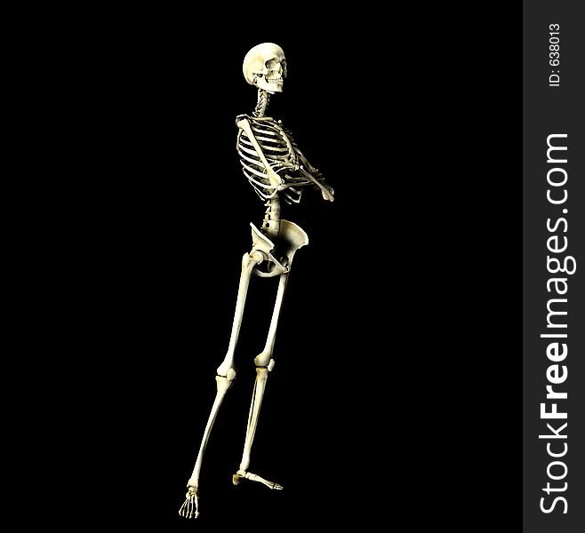 This is an skeleton in a pose. This is an skeleton in a pose.