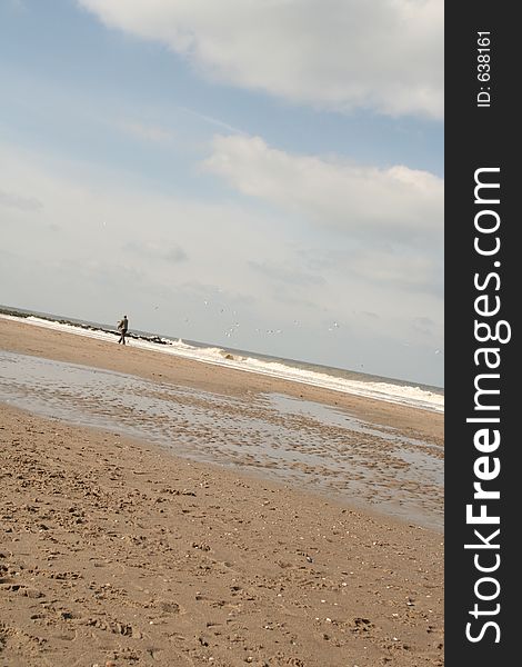 Walk Along The Beach In Spring