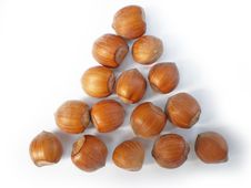Hazelnuts Stock Images Hazelnuts Stock Images