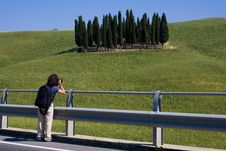 TUSCANY Countryside With Cypress Stock Photos TUSCANY Countryside With Cypress Stock Photos