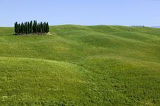 TUSCANY Countryside With Cypress Royalty Free Stock Photos TUSCANY Countryside With Cypress Royalty Free Stock Photos