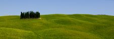 TUSCANY Countryside With Cypress Royalty Free Stock Images TUSCANY Countryside With Cypress Royalty Free Stock Images