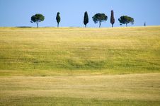 TUSCANY Countryside With Cypress Royalty Free Stock Image TUSCANY Countryside With Cypress Royalty Free Stock Image
