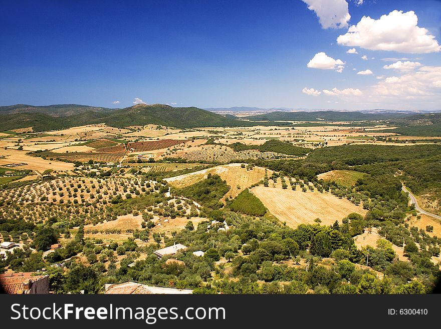 Hills planted with olive trees, vineyards and wheat. Hills planted with olive trees, vineyards and wheat