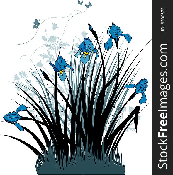 The Blue Irises
