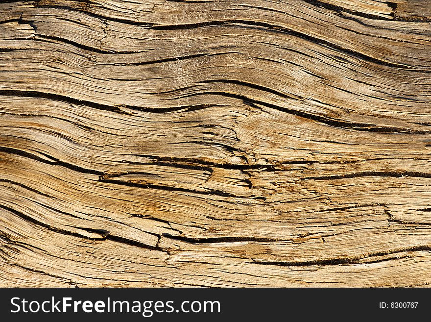 Old wood texture with splits