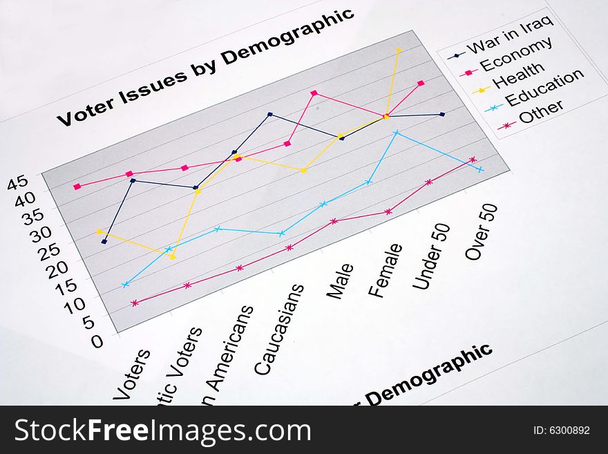 Voter Issues by Demographic