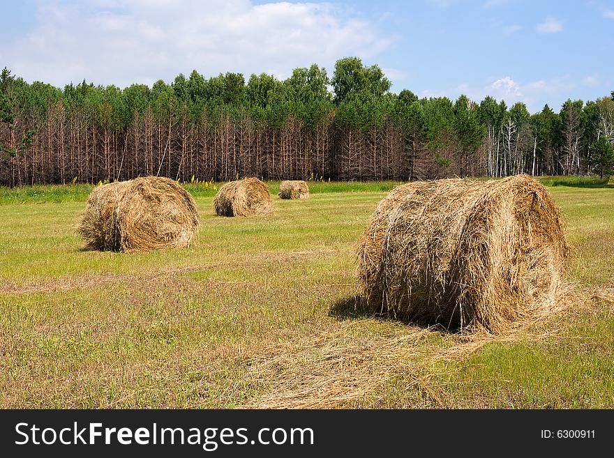 Field with haystacks