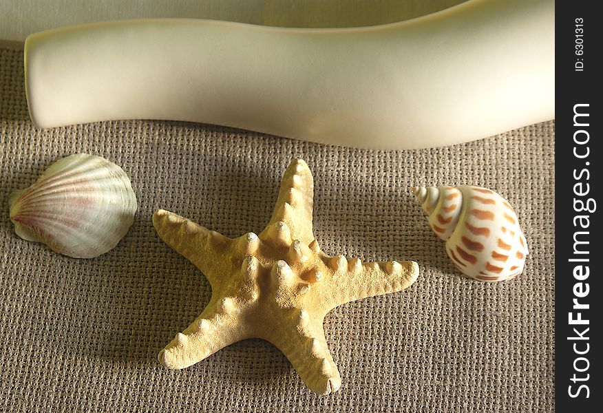 Vase, starfish and seashells composition