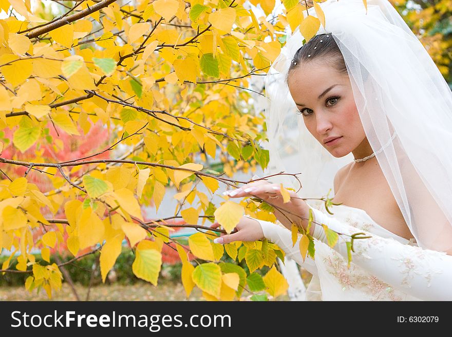 Thinking bride by the yellow leaf of the tree. Thinking bride by the yellow leaf of the tree