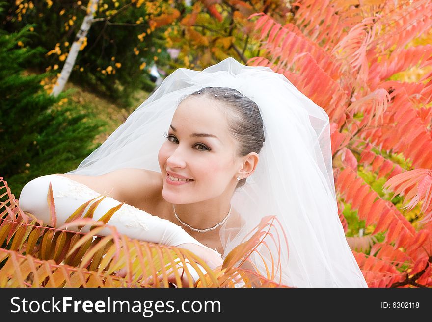 Thinking bride by the yellow leaf of the plant. Thinking bride by the yellow leaf of the plant