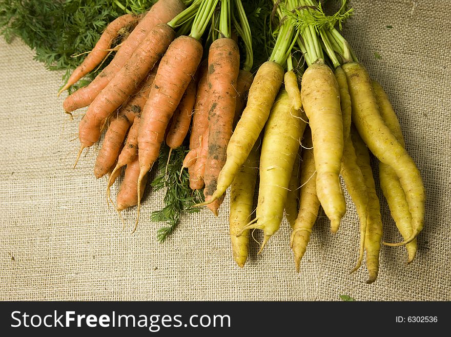 Freshly picked organic orange and yellow carrots. All carrots were yellow before the 'orange gene' was introduced over 100 years ago. Freshly picked organic orange and yellow carrots. All carrots were yellow before the 'orange gene' was introduced over 100 years ago.