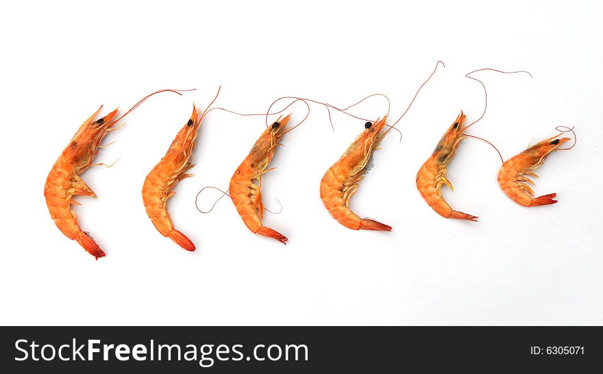 The six red steamed shrimps in sequence from big to small on white background.