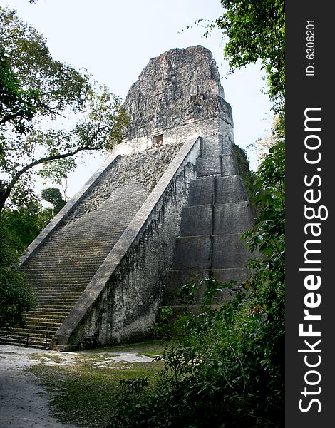 Tikal Pyramid