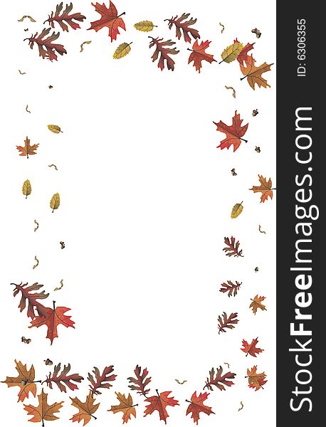 View of leaves framework on a white background