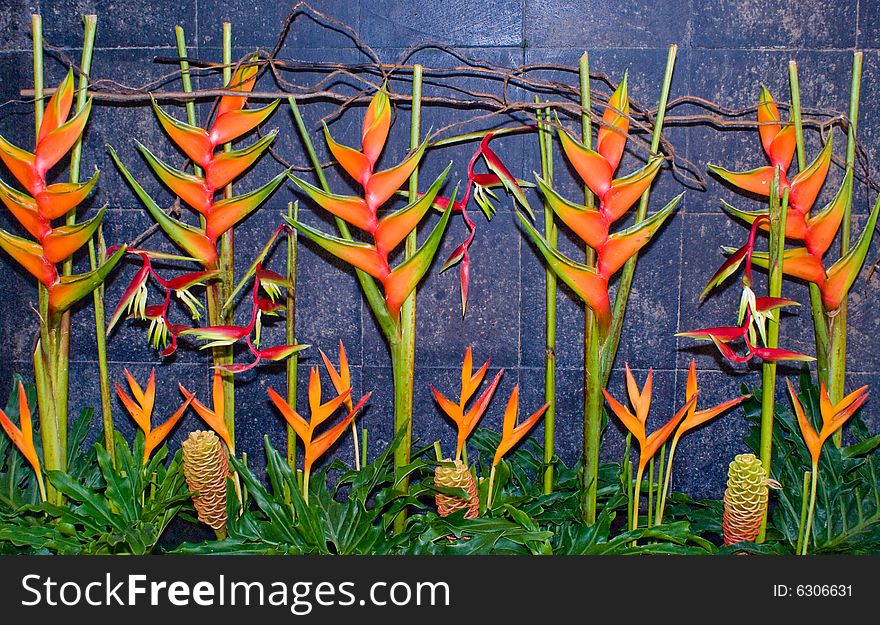 Interesting arrangement of plants and flowers.