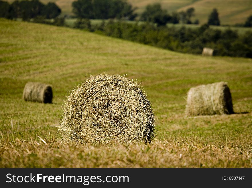 Summer in tuscany, image of hay-ball. Summer in tuscany, image of hay-ball