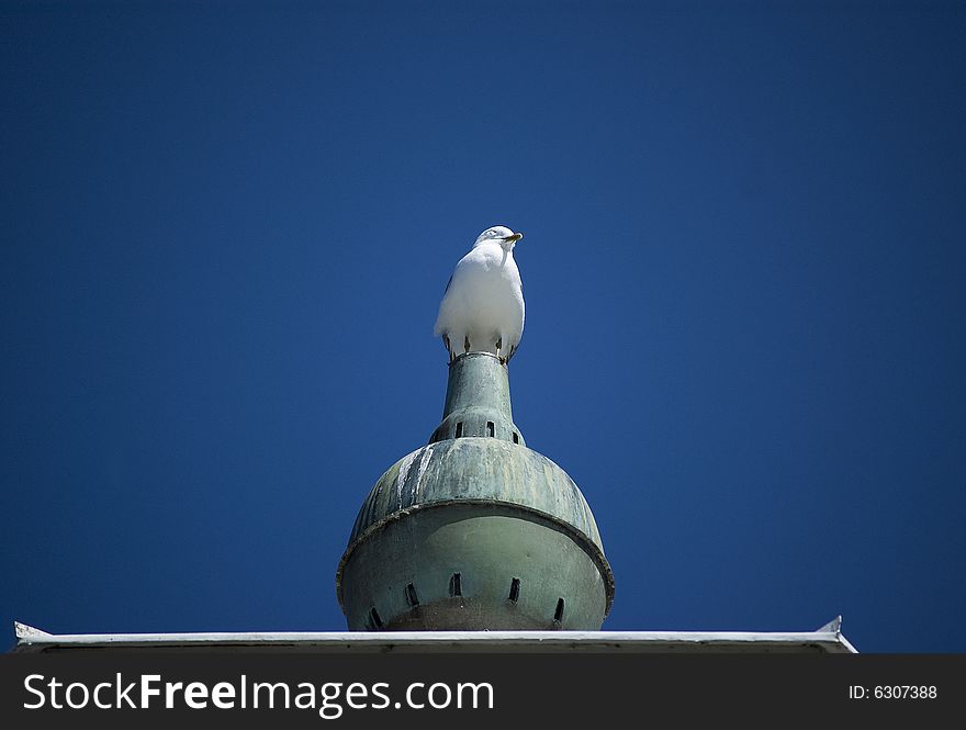 A seagull sitting on the top of a lighthouse, watching. A seagull sitting on the top of a lighthouse, watching.
