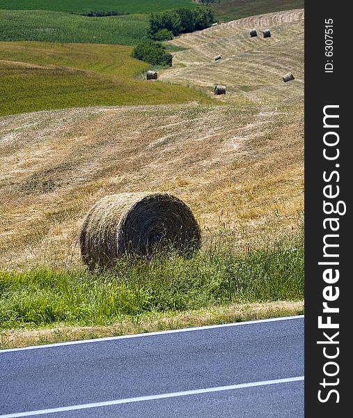 Summer in tuscany, image of hay-ball. Summer in tuscany, image of hay-ball