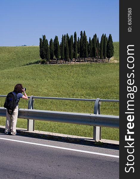 TUSCANY Countryside With Cypress