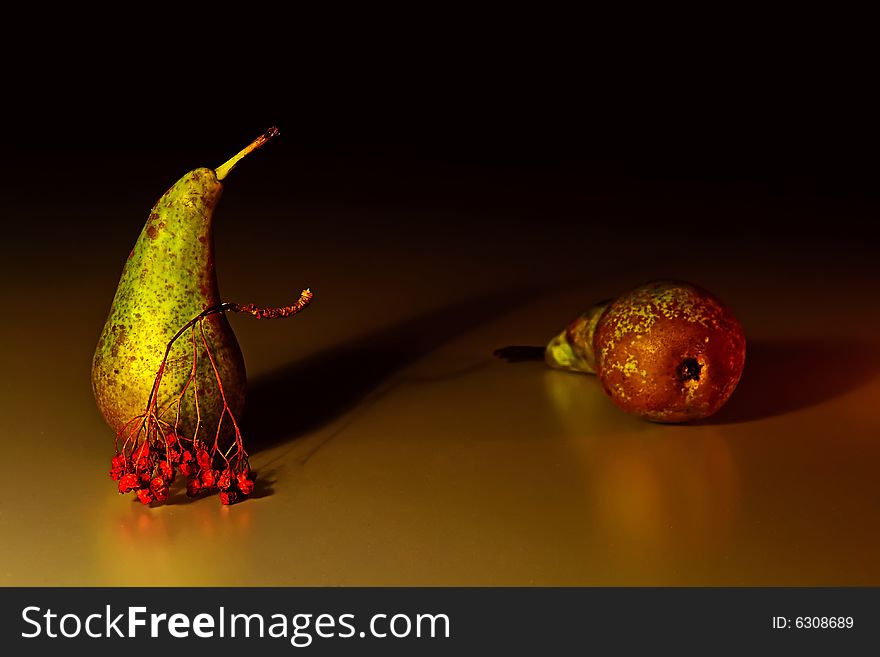 Photo of the two pears and the ashberry twig