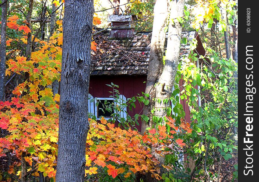 Cottage hidden in New Hampshire woods. Cottage hidden in New Hampshire woods.