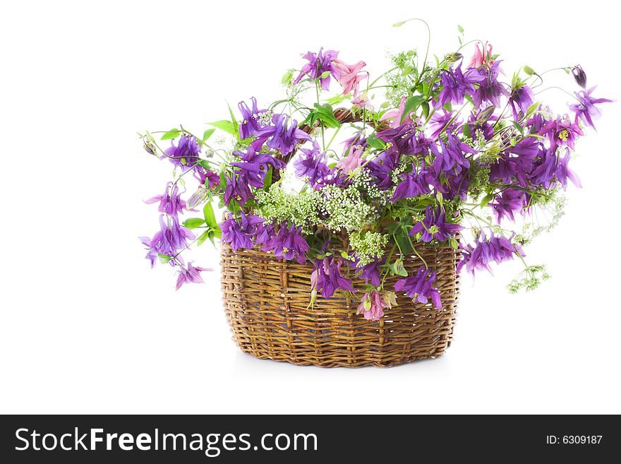 Wicker basket with wild flowers. Wicker basket with wild flowers