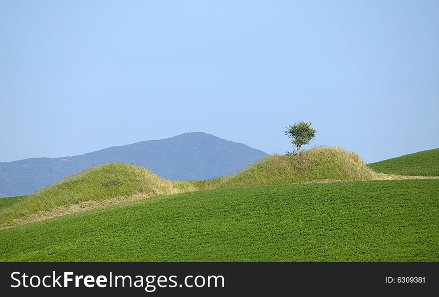 Summer countryside in Tuscany with far hill. Summer countryside in Tuscany with far hill