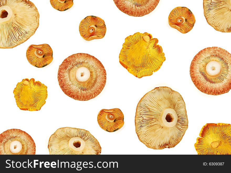 The mushrooms, are isolated on a white background.