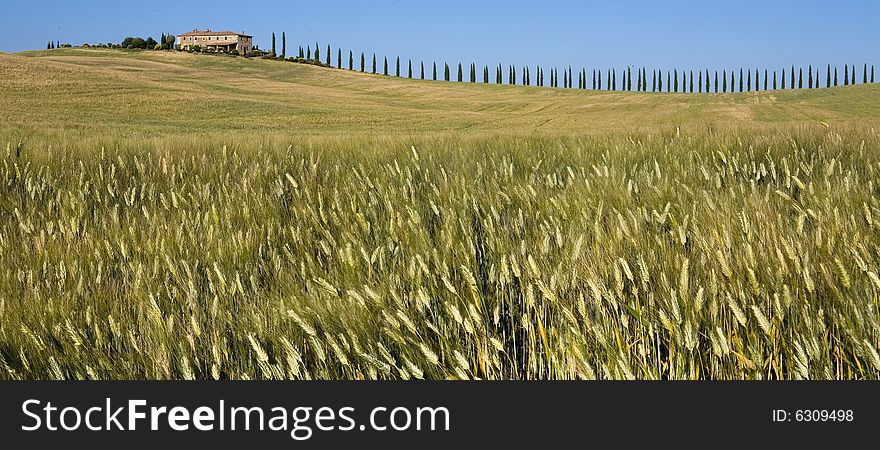 TUSCANY countryside with distant farm