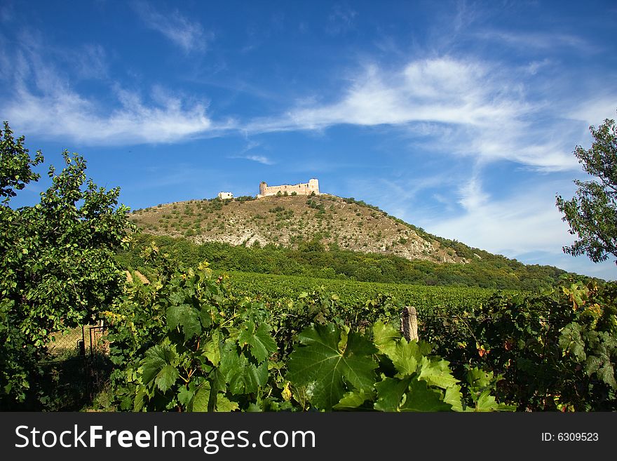 Ruin of castle Divci hrady (Young Ladies Cactles) on behind of Pavlov village vineyard. Ruin of castle Divci hrady (Young Ladies Cactles) on behind of Pavlov village vineyard.