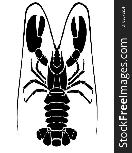 Omar black on a white background with large claws