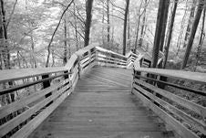 The Long Walk Royalty Free Stock Images The Long Walk Royalty Free Stock Images
