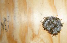 Bee Hive Royalty Free Stock Photos Bee Hive Royalty Free Stock Photos