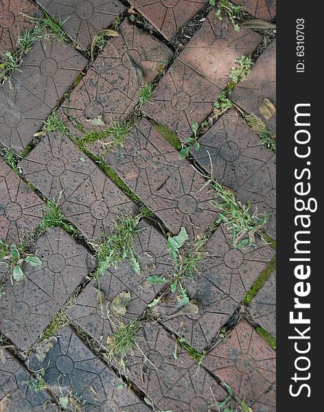 A very old, decorative brick walk shot straight down with grass in the cracks.