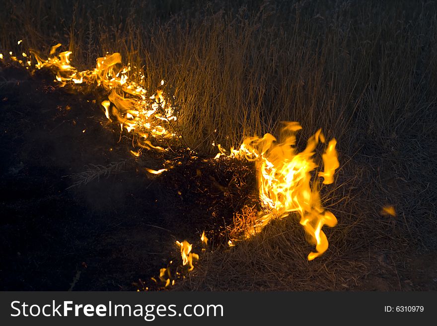 Fire In Steppe