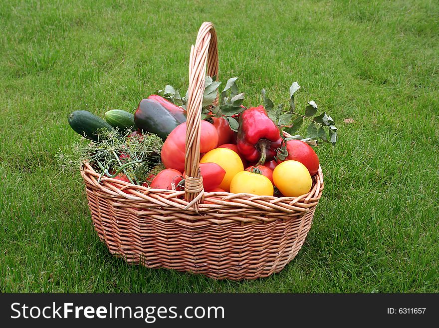 Basket with vegetables - autumn gifts of a nature