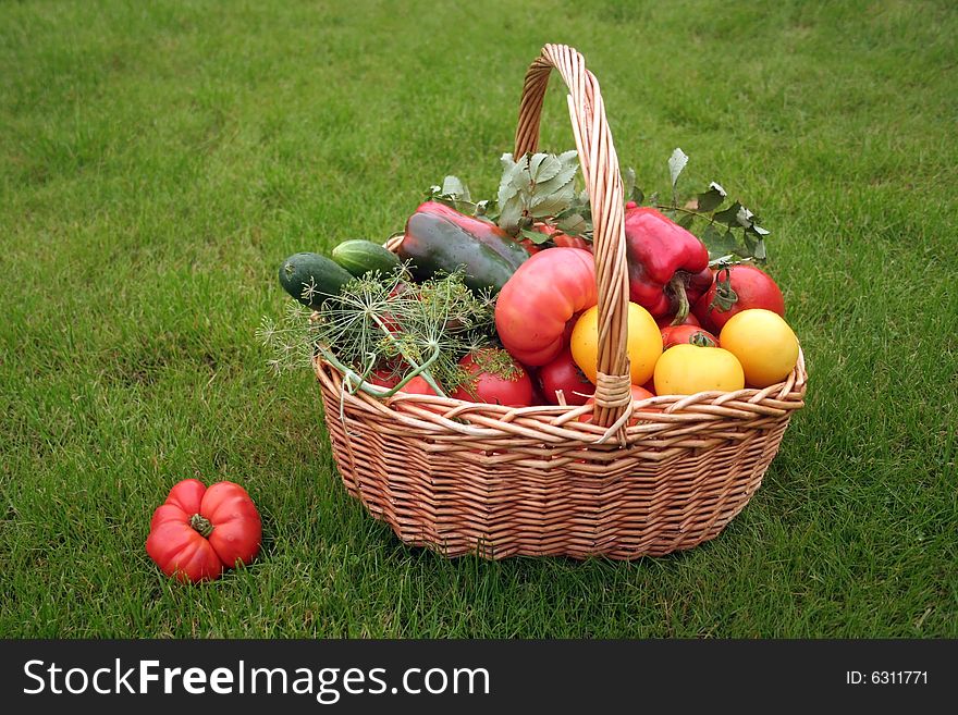 Basket with vegetables - autumn gifts of a nature