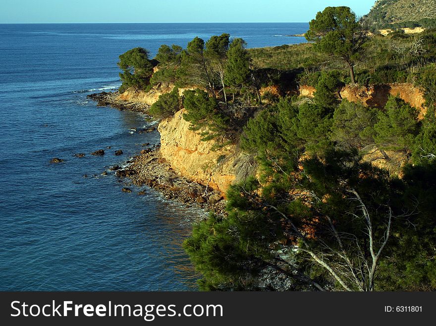 Mediterranean coastline with pine trees in Majorca in Spain