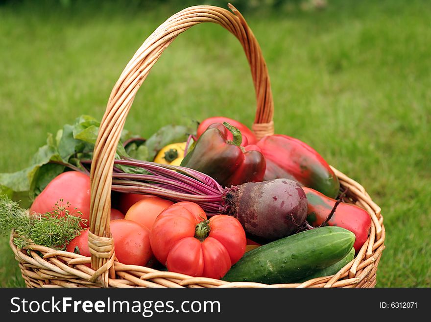 Basket with vegetables - autumn gifts of a nature