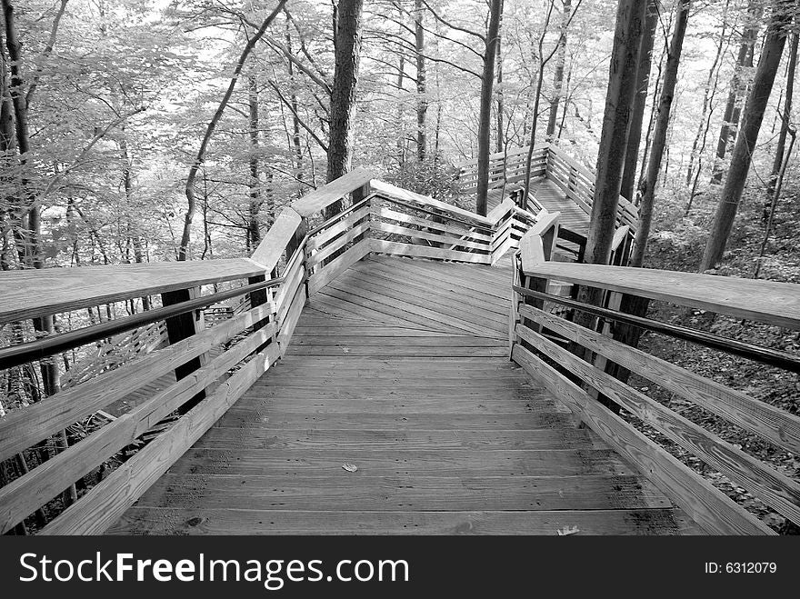 A long walk down some outdoor wooden stairs to an sight seeing deck. A long walk down some outdoor wooden stairs to an sight seeing deck