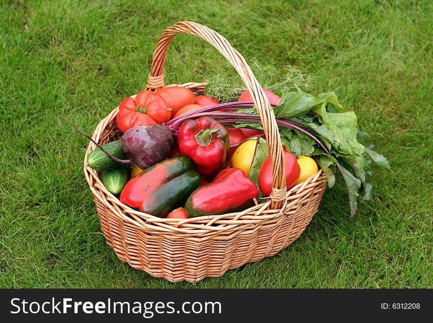 Basket with vegetables - autumn gifts of a nature
